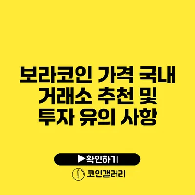 보라코인 가격: 국내 거래소 추천 및 투자 유의 사항