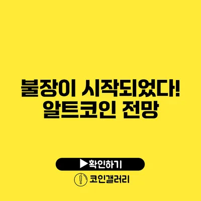 불장이 시작되었다! 알트코인 전망