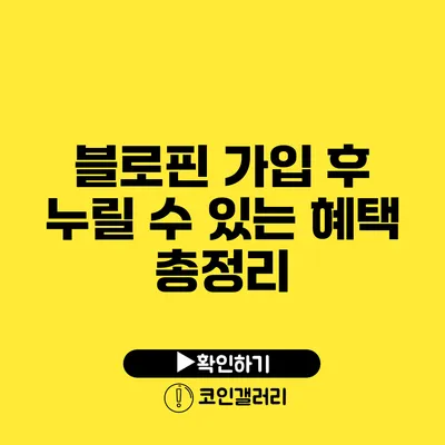 블로핀 가입 후 누릴 수 있는 혜택 총정리