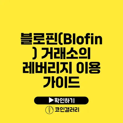 블로핀(Blofin) 거래소의 레버리지 이용 가이드