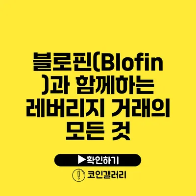 블로핀(Blofin)과 함께하는 레버리지 거래의 모든 것