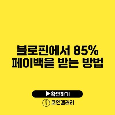 블로핀에서 85% 페이백을 받는 방법