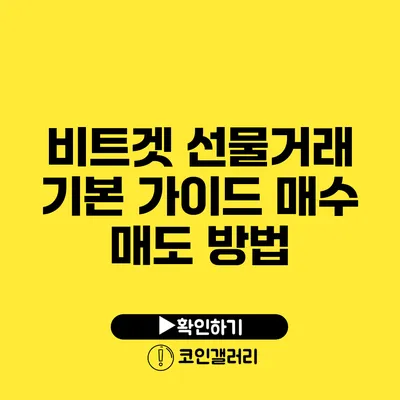 비트겟 선물거래 기본 가이드: 매수 매도 방법