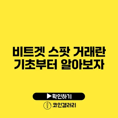 비트겟 스팟 거래란? 기초부터 알아보자