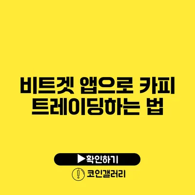 비트겟 앱으로 카피 트레이딩하는 법