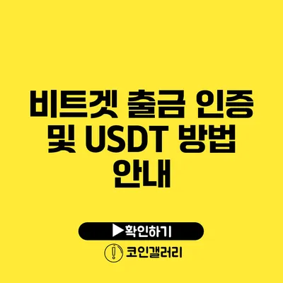 비트겟 출금 인증 및 USDT 방법 안내