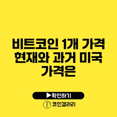 비트코인 1개 가격: 현재와 과거 미국 가격은?