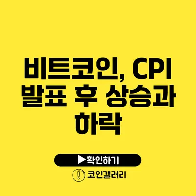 비트코인, CPI 발표 후 상승과 하락