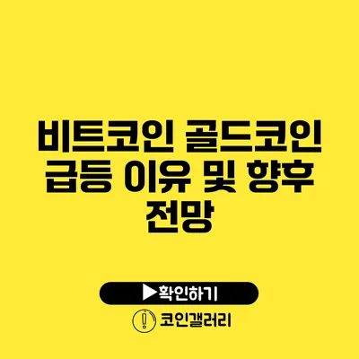 비트코인 골드코인 급등 이유 및 향후 전망