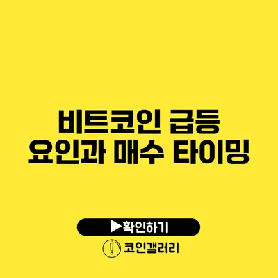 비트코인 급등 요인과 매수 타이밍