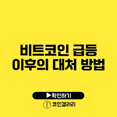 비트코인 급등 이후의 대처 방법