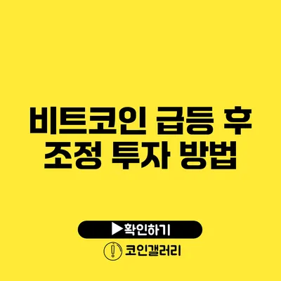 비트코인 급등 후 조정 투자 방법