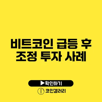 비트코인 급등 후 조정 투자 사례