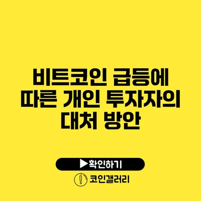 비트코인 급등에 따른 개인 투자자의 대처 방안