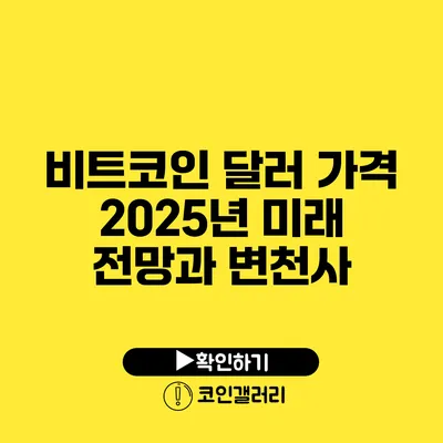 비트코인 달러 가격 2025년 미래 전망과 변천사