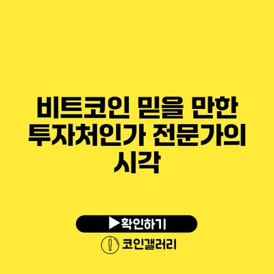 비트코인 믿을 만한 투자처인가? 전문가의 시각