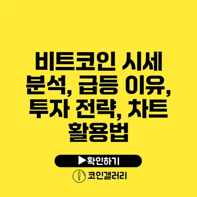 비트코인 시세 분석, 급등 이유, 투자 전략, 차트 활용법