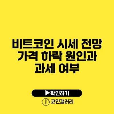 비트코인 시세 전망: 가격 하락 원인과 과세 여부