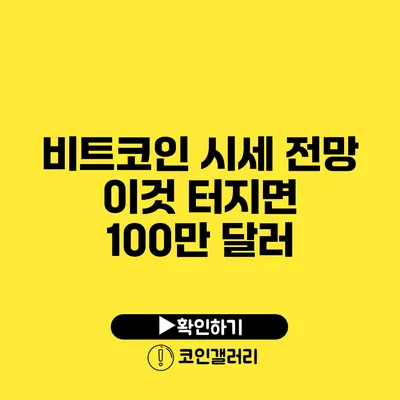 비트코인 시세 전망: 이것 터지면 100만 달러?