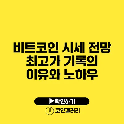 비트코인 시세 전망: 최고가 기록의 이유와 노하우