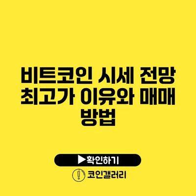 비트코인 시세 전망: 최고가 이유와 매매 방법