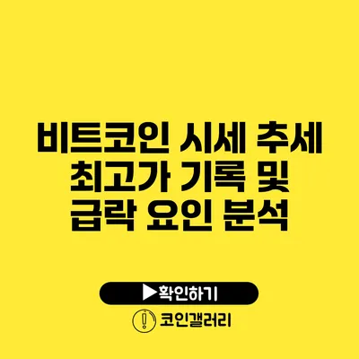 비트코인 시세 추세: 최고가 기록 및 급락 요인 분석