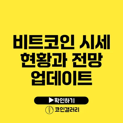 비트코인 시세 현황과 전망 업데이트