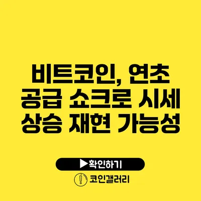 비트코인, 연초 공급 쇼크로 시세 상승 재현 가능성