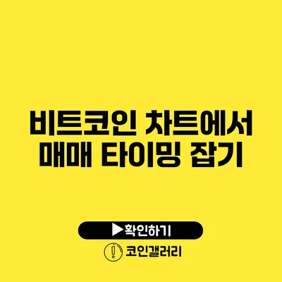 비트코인 차트에서 매매 타이밍 잡기