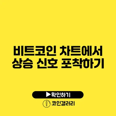 비트코인 차트에서 상승 신호 포착하기