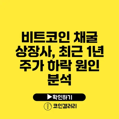 비트코인 채굴 상장사, 최근 1년 주가 하락 원인 분석