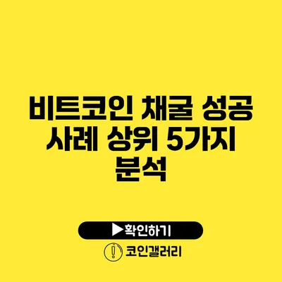 비트코인 채굴 성공 사례: 상위 5가지 분석