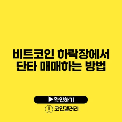 비트코인 하락장에서 단타 매매하는 방법