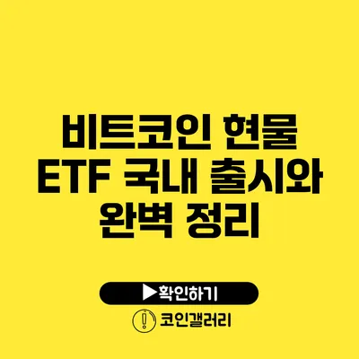 비트코인 현물 ETF: 국내 출시와 완벽 정리