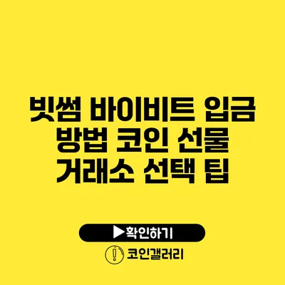 빗썸 바이비트 입금 방법: 코인 선물 거래소 선택 팁