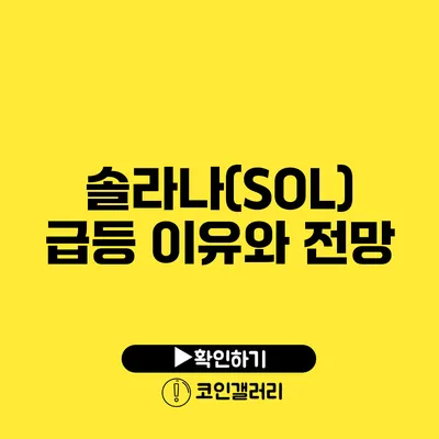 솔라나(SOL) 급등 이유와 전망