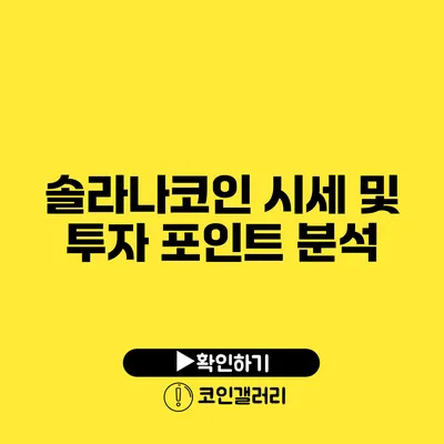 솔라나코인 시세 및 투자 포인트 분석