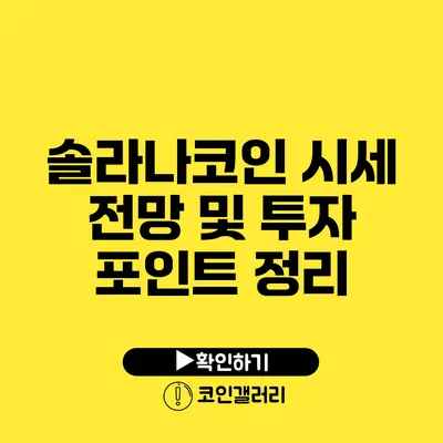 솔라나코인 시세 전망 및 투자 포인트 정리