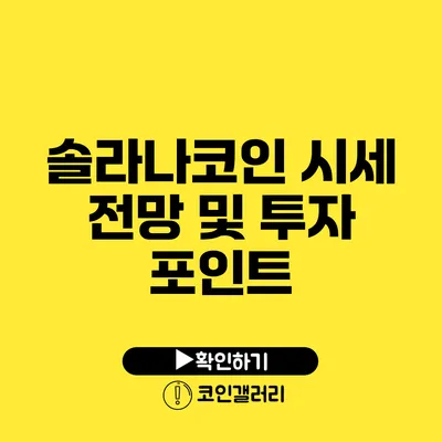 솔라나코인 시세 전망 및 투자 포인트