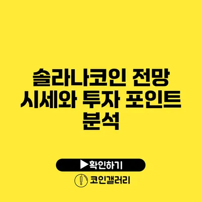 솔라나코인 전망: 시세와 투자 포인트 분석