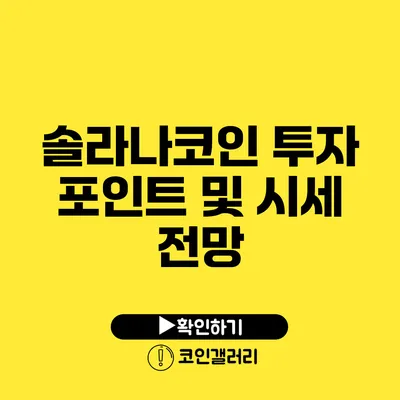 솔라나코인 투자 포인트 및 시세 전망