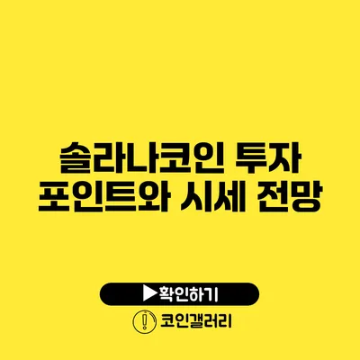 솔라나코인 투자 포인트와 시세 전망