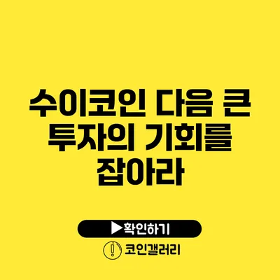 수이코인: 다음 큰 투자의 기회를 잡아라