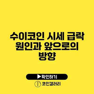 수이코인 시세 급락 원인과 앞으로의 방향