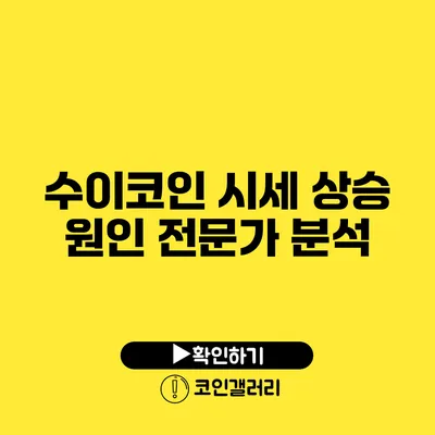 수이코인 시세 상승 원인: 전문가 분석