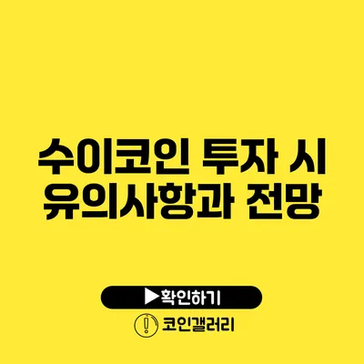 수이코인 투자 시 유의사항과 전망