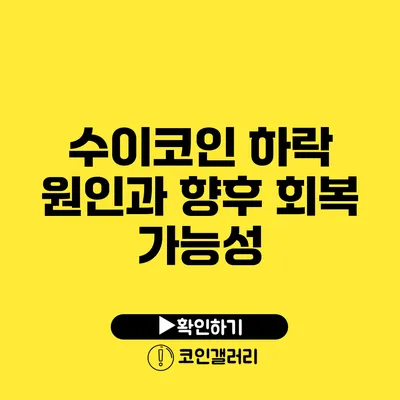 수이코인 하락 원인과 향후 회복 가능성