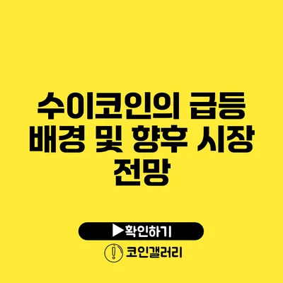 수이코인의 급등 배경 및 향후 시장 전망