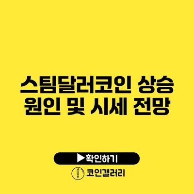 스팀달러코인 상승 원인 및 시세 전망