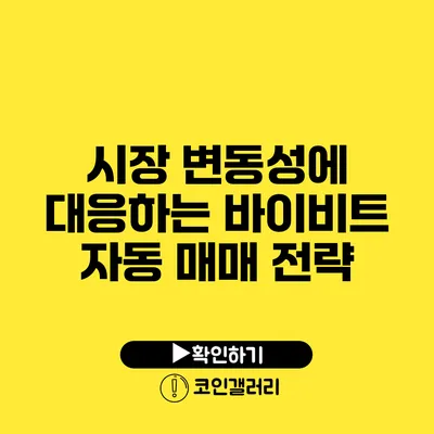 시장 변동성에 대응하는 바이비트 자동 매매 전략